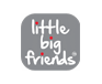 Little Big Friends