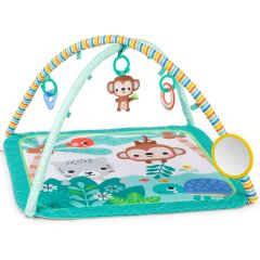 Palestrina Bright Starts Activity Gym Palm Party