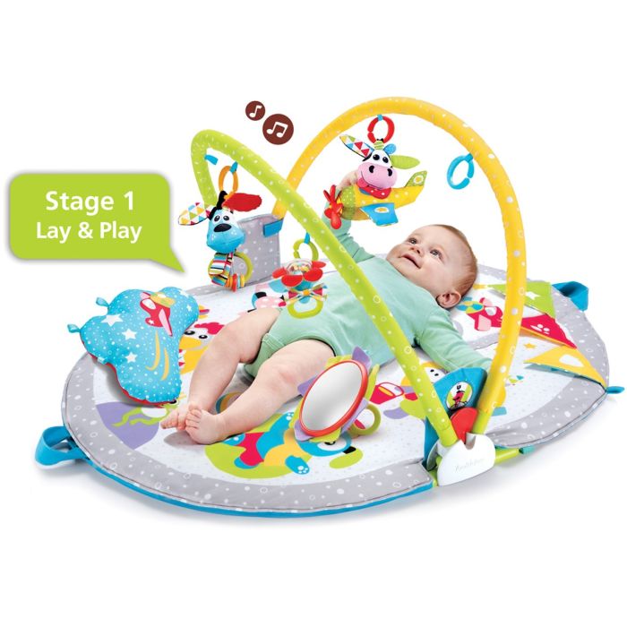 Palestrina Gymotion Lay to Sit-Up Palestrina Gymotion Lay to Sit-Up