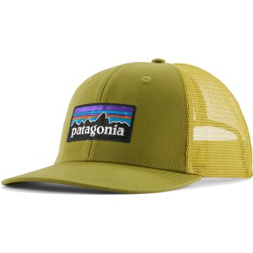 Cappello Patagonia P-6 Logo Trucker Graze Green