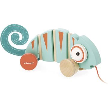 Trainabile Janod Tropik Camaleonte