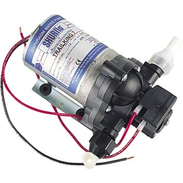Pompa d'acqua Shurflo 12 V Flusso 7 l/min 30 PSI Pentair
