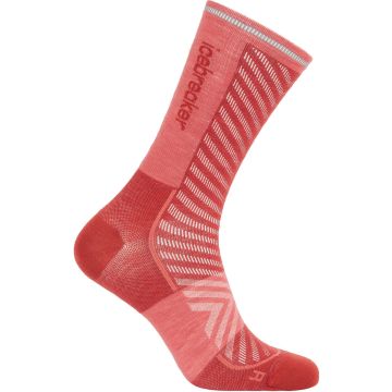 Calze da uomo Icebreaker Run+ Jasper/plume